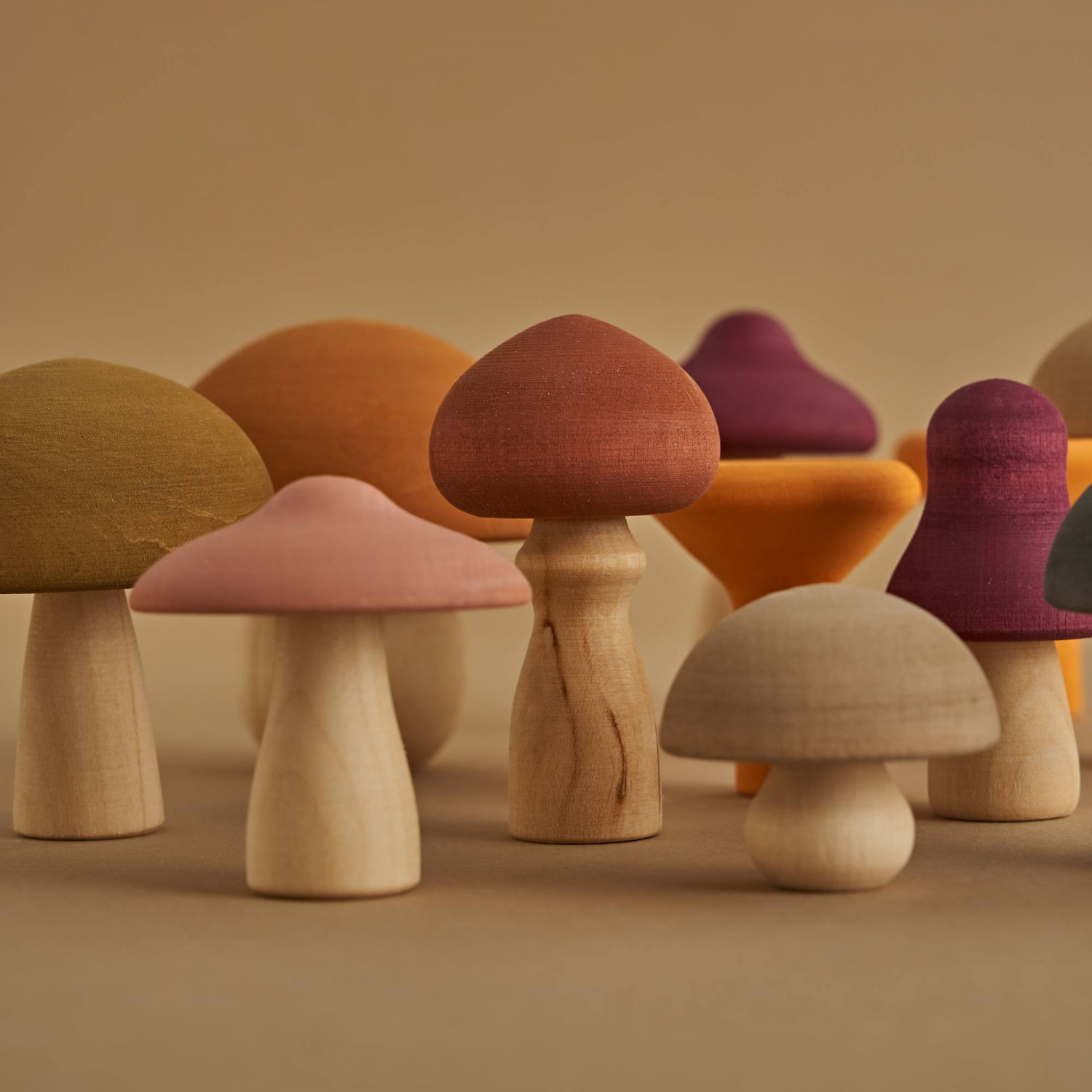 Mushrooms - Raduga Grez