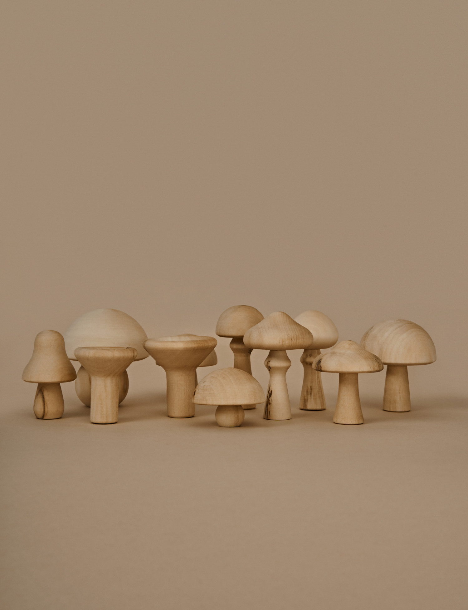 Mushrooms Natural - Raduga Grez